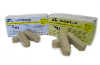Magnésium Bolus x10